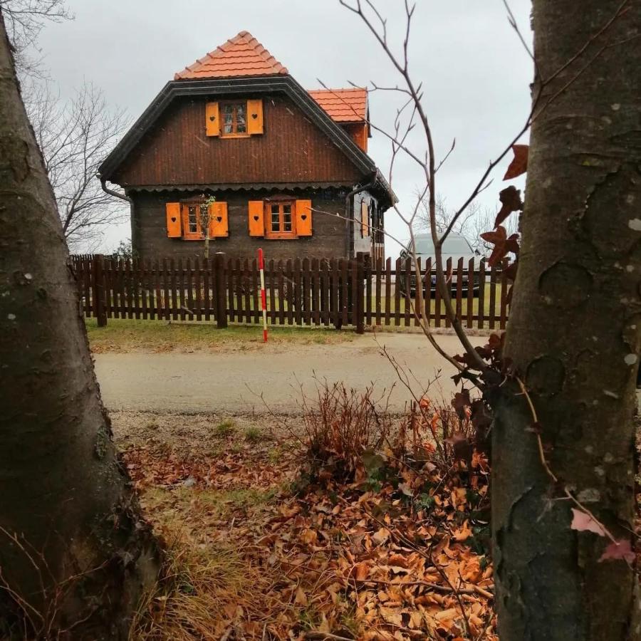 Kuca Za Odmor Poljanica Okicka Villa Jastrebarsko Eksteriør billede